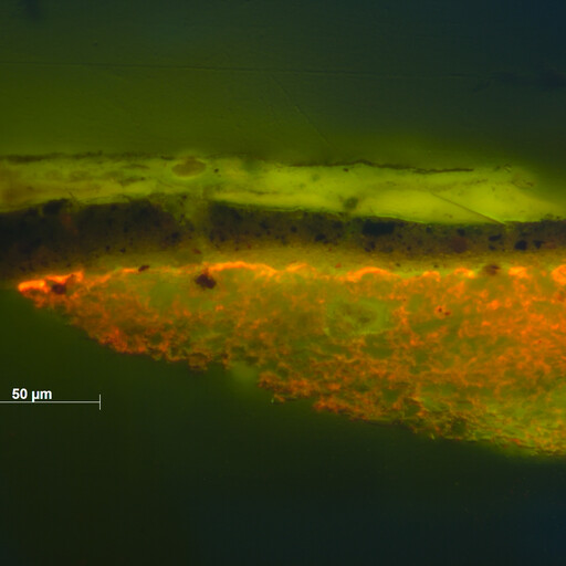 Fluoreszenzmikroskopische Aufnahme eines Gemäldequerschliffs