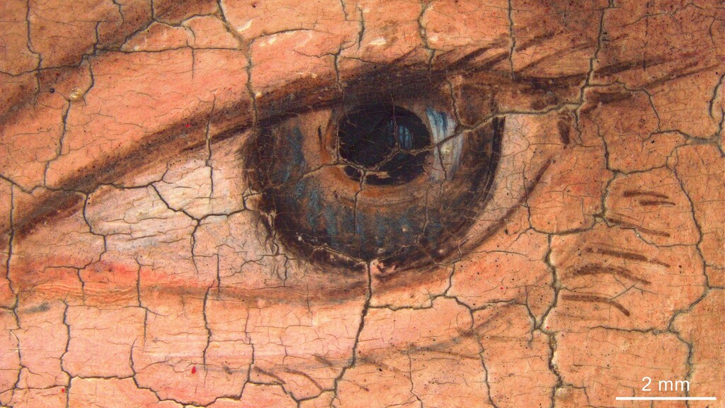 Lucas Cranach d. Ä. „Kurfürst Joachim I. Nestor von Brandenburg“, Mikroskopaufnahme des Auges, Bayerische Staatsgemäldesammlungen